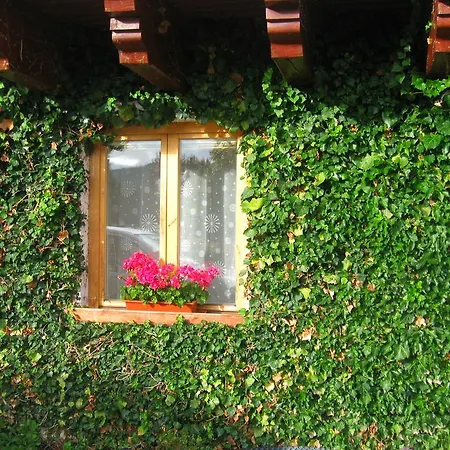 Ubytovani Na Slucim Tahu Prasily Exterior photo